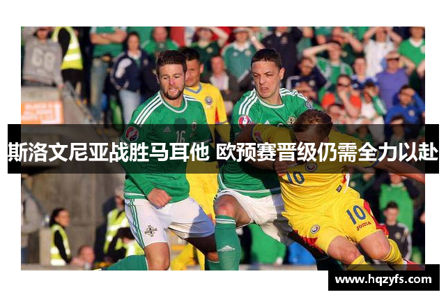 斯洛文尼亚战胜马耳他 欧预赛晋级仍需全力以赴