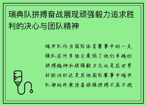 瑞典队拼搏奋战展现顽强毅力追求胜利的决心与团队精神