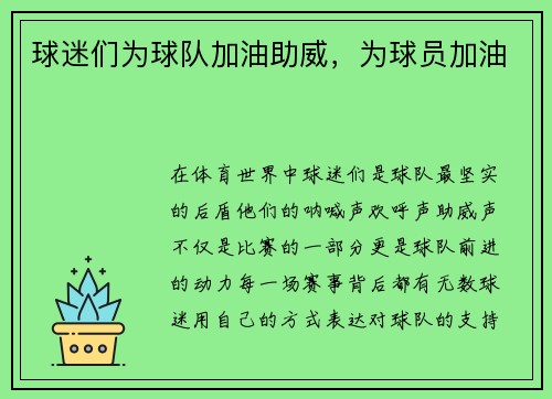 球迷们为球队加油助威，为球员加油